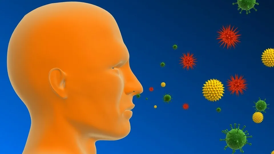 allergie